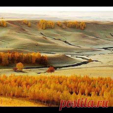 Юрий