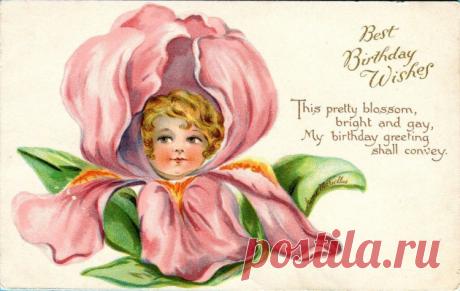 (9) Gallery.ru / Фото #50 - Цветочные фантазии в старинных открытках - lenadep