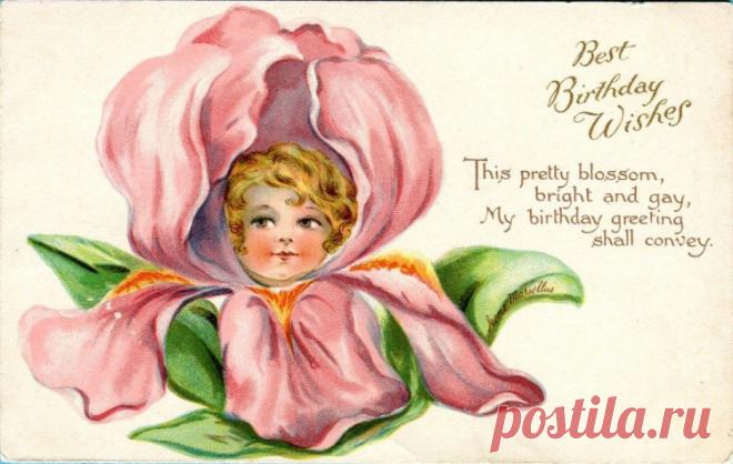 (9) Gallery.ru / Фото #50 - Цветочные фантазии в старинных открытках - lenadep