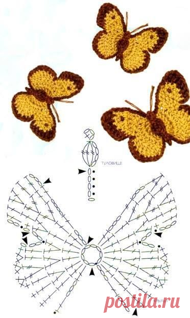 butterflies