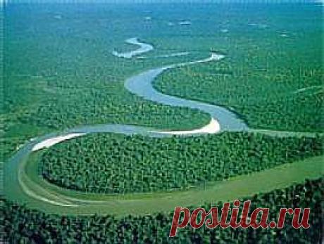 Река Амазонка фото видео. Природа. Пресноводные водоемы, растительность, животный мир.
