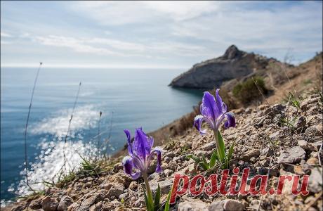 Весенний Крым