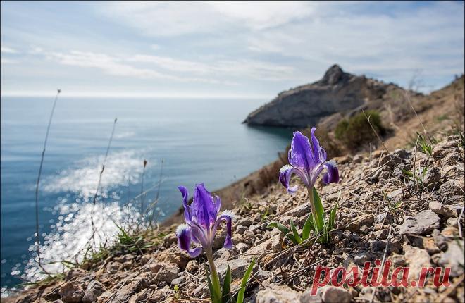 Весенний Крым