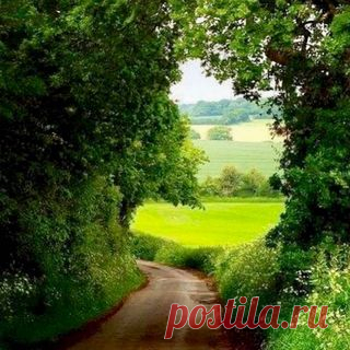 Photo by Regina Rocha Lima on January 16, 2021. May be an image of road, nature, grass and tree.
