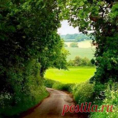 Photo by Regina Rocha Lima on January 16, 2021. May be an image of road, nature, grass and tree.