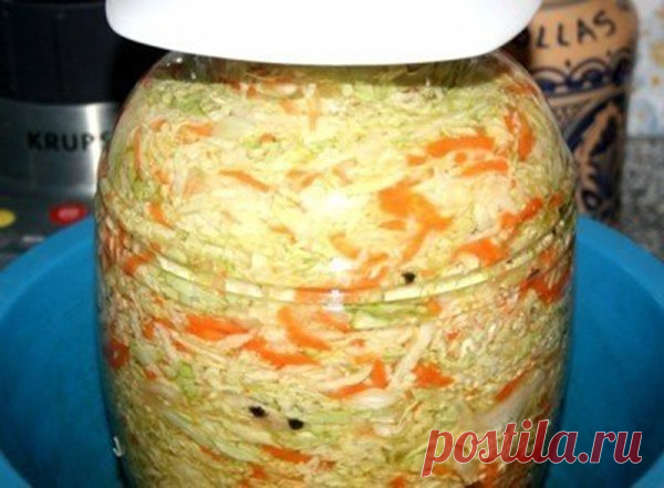 Квашеная капуста кубанская (мамина) — Сад Заготовки