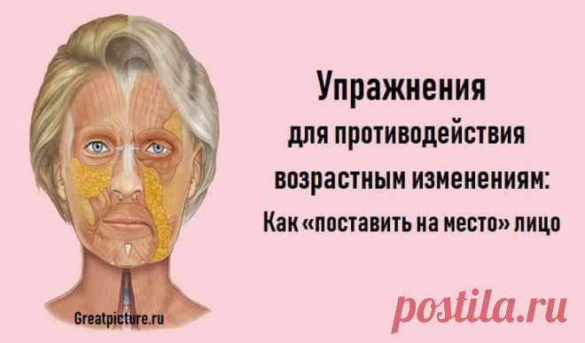 Упражнения для противодействия возрастным изменениям