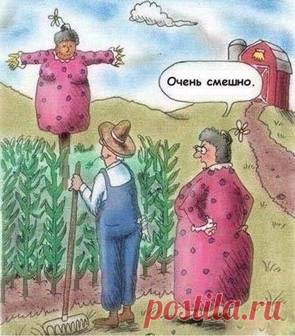 Дневник сторожа садоводческого товарищества "Утес" 15.05 Председатель предложил мне, раз уж я все равно здесь все время живу, подработать сторожем. Подумал. Согласился. 16.05 Осмотрел вверенные участки. Определил, где что растет. Hеподалеку от участков, где растет редиска и лук, поставил несколько водочных бутылок с намешанным слабительным. 18.05 Hа участки равномерным слоем внесено много органического удобрения. 20.05 Бутылки больше никто не трогает, овощи пока тоже. 21.05 Развесил…