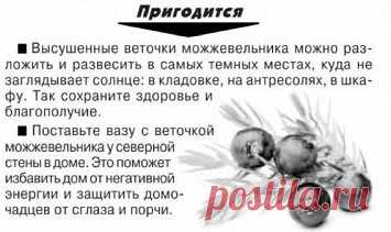 Ведовство и Целительство