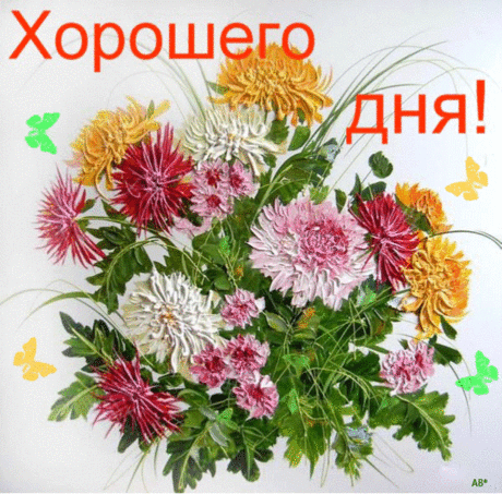Анимация