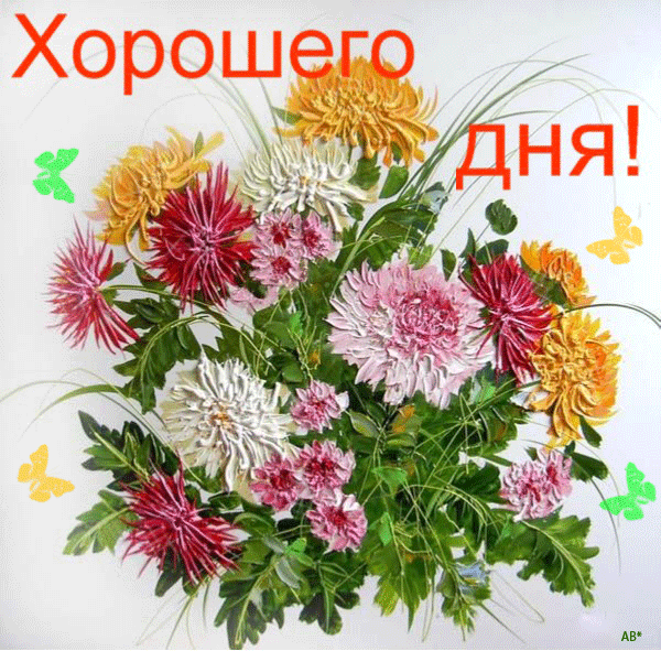 Анимация