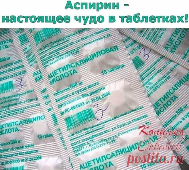 6 непрочитанных чатов