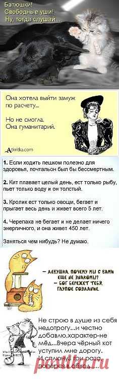 Одноклассники