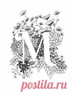 (19) Pinterest