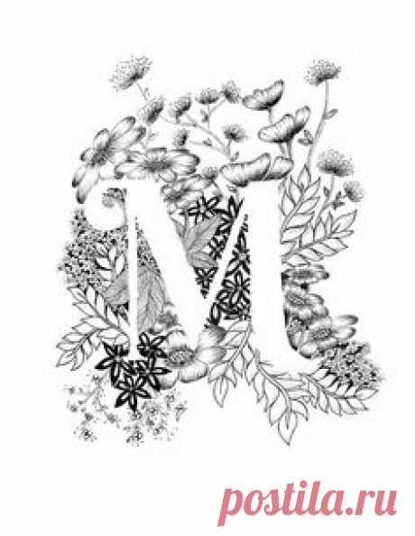 (19) Pinterest