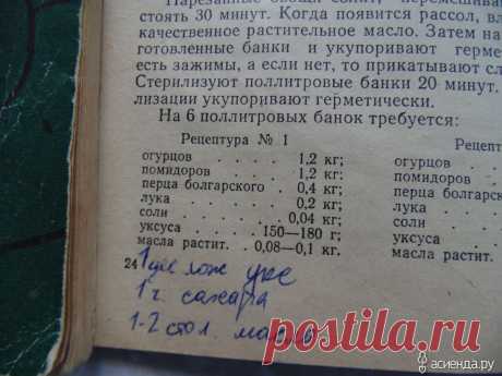 Рецепт проверенный временем. Салат кубанский: Группа Собираем урожай: хвастики, рецепты, заготовки