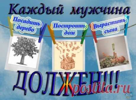 Мой блог