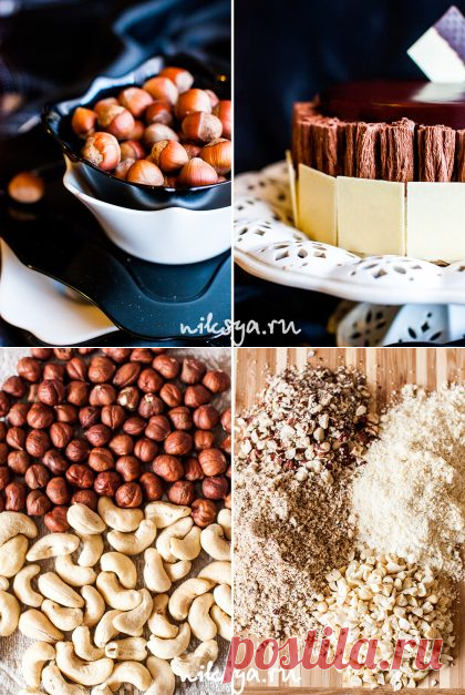 Торт «Биарриц» | Самый вкусный портал Рунета