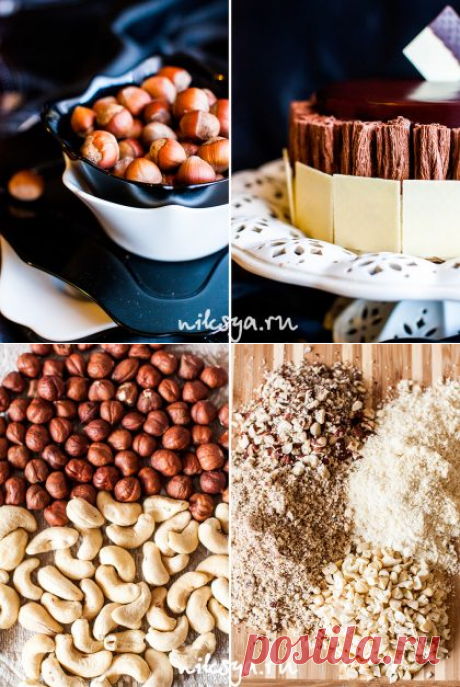 Торт «Биарриц» | Самый вкусный портал Рунета