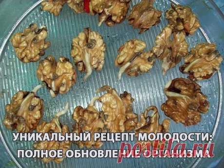 УНИКАЛЬНЫЙ РЕЦЕПТ МОЛОДОСТИ: ПОЛНОЕ ОБНОВЛЕНИЕ ОРГАНИЗМА. 

Все наверное, слышали про пророщенную пшеницу. За сутки прорастания в воде жизненная сила пшеницы увеличивается в 100 раз. 

Но мало кто знает об уникальнейшем рецепте пророщенного грецкого ореха, жизненная сила которого за 2 недели прорастания в воде увеличивается в 1000 раз! 

1 кг неочищенных грецких орехов залить холодной водой. Вода должна покрывать орехи. Держать на подоконнике 2 недели, воду менять через де...