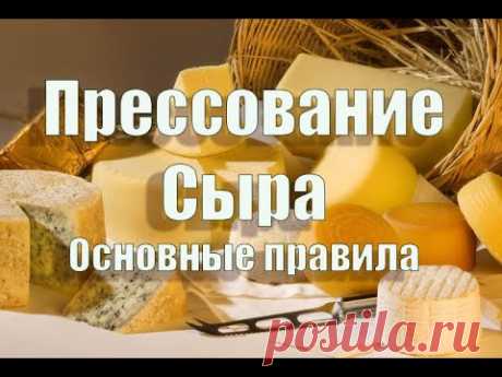 Прессование домашних сыров. Все важные правила прессования сыра.