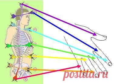 Ирина Галаева - Фотографии Хроники