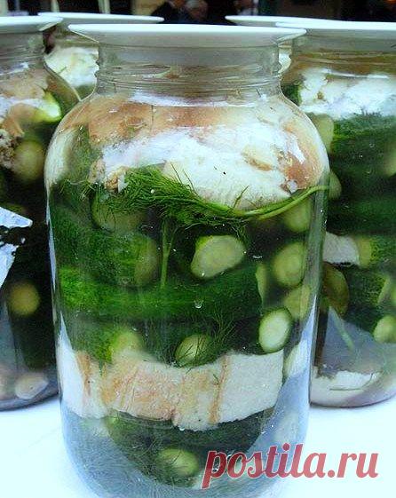 ЗАГОТОВКИ НА ЗИМУ.СОЛЕНЬЯ. | Записи в рубрике ЗАГОТОВКИ НА ЗИМУ.СОЛЕНЬЯ. | Дневник candra