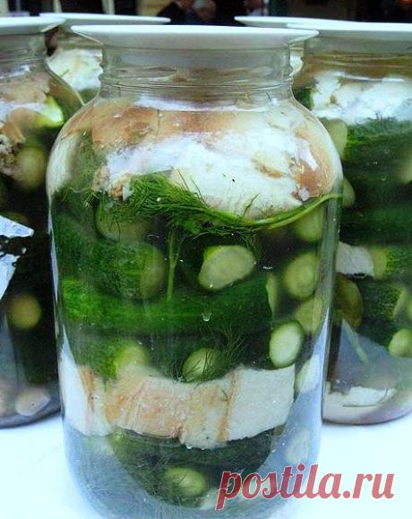 ЗАГОТОВКИ НА ЗИМУ.СОЛЕНЬЯ. | Записи в рубрике ЗАГОТОВКИ НА ЗИМУ.СОЛЕНЬЯ. | Дневник candra