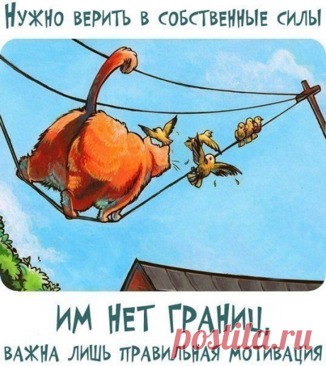 Новости