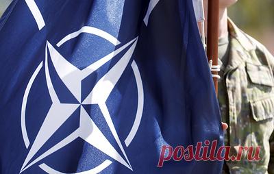 Эксперт заявил, что вступление Украины в НАТО не зависит от позиции Турции. Как подчеркнул бывший турецкий торгпред в России Айдын Сезер, Киев должен обсуждать этот вопрос только с Вашингтоном и альянсом