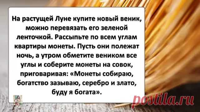 (82) Одноклассники