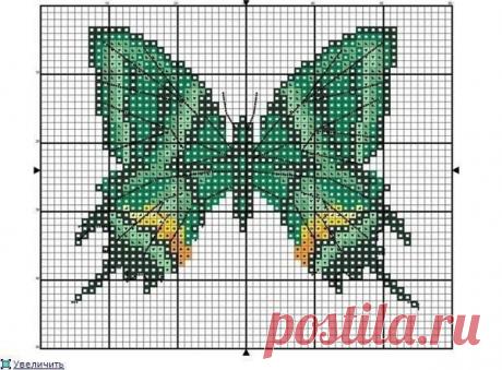 112654913_wG1AtB2Dho.jpg (600×442)