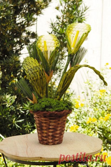 Плетение газетными трубочками букета калл МК