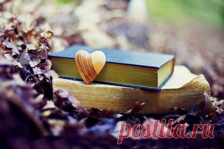 Книги, с которыми не страшна осенняя депрессия...