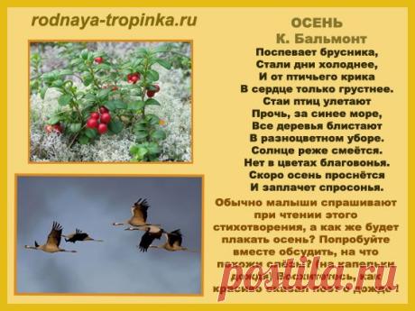 zolotaya-osen-stihi-v-kartinkah4.jpg (567×425)