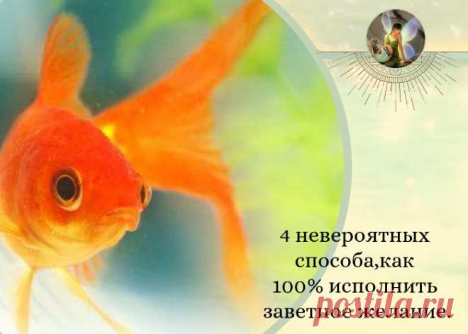 Карта желаний 2 или VisuaLife — мобильное приложение для визуализации 4 НЕВЕРОЯТНЫХ СПОСОБА,КАК 100% ИСПОЛНИТЬ ЗАВЕТНОЕ ЖЕЛАНИЕ. - Карта желаний 2 или VisuaLife - мобильное приложение для визуализации