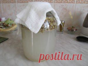 ЛЕЧЕБНЫЙ БАНАНОВЫЙ КВАС