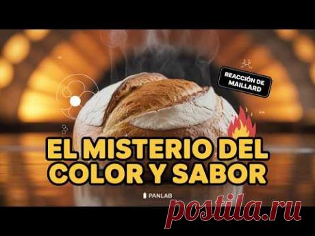 El Misterio del COLOR y SABOR: La Reacción de Maillard Revelada