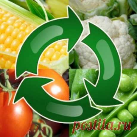 Севооборот, или Что после чего сажать в огороде