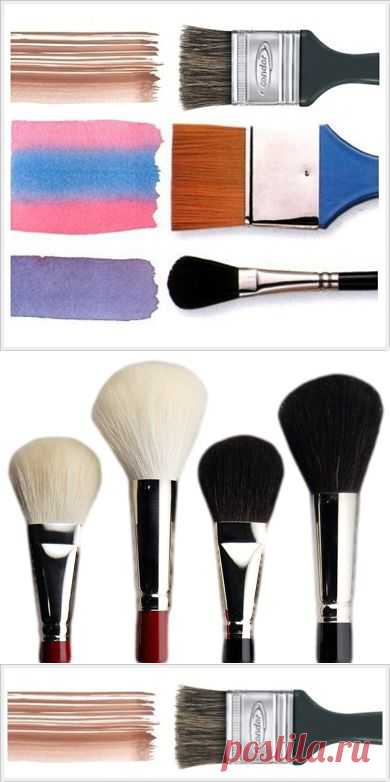 Анатомия мазка. Кисть Флейц. (Часть - XII)