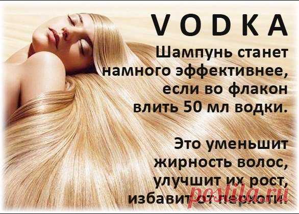 ВОДКА И ТРИНАДЦАТЬ СПОСОБОВ ЕЕ НЕОБЫЧНОГО ПРИМЕНЕНИЯ

1. Добавьте в вазу с цветами (пионами, например) несколько капель водки и чайную ложку сахара, и вы продлите им жизнь.

2. Чтобы безболезненно снять приставший намертво лейкопластырь, смочите его водкой при помощи ватного тампона. Водка быстро растворит липкий слой.
Показать полностью…