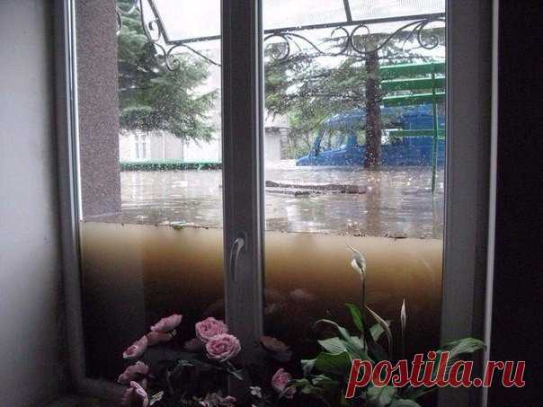 Пожалуй, лучшая реклама окон