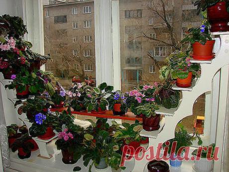 (44) Одноклассники