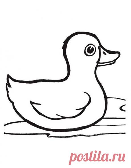 Картинка раскраска утенок