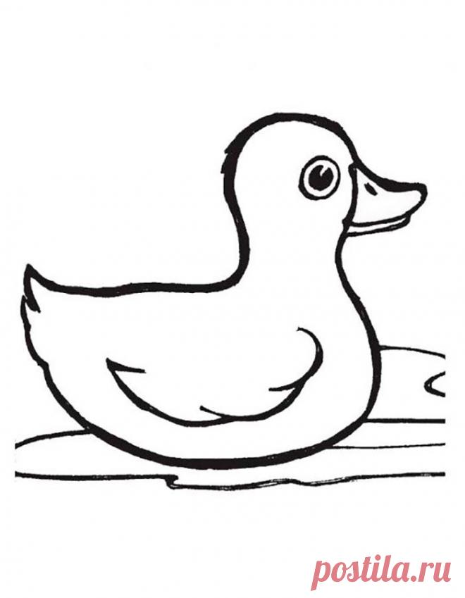 Картинка раскраска утенок
