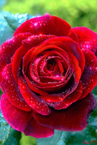 GiF WORLD – Google+