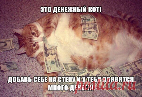 Сохранённые фотографии | 133 фотографии