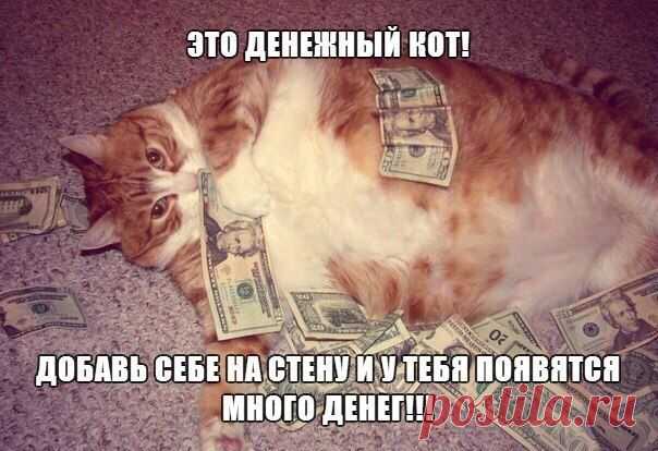 Сохранённые фотографии | 133 фотографии