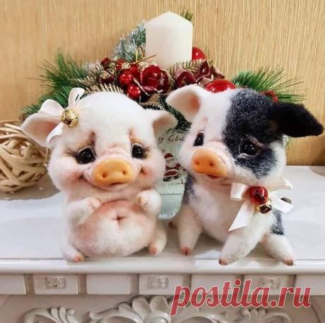 Տարվա գեղեցիկ զույգը․․🐷❤️․
Շնորհավոր Հին Նոր տարի ...❤️🎄🍷
Թող Նոր Տարվա մեջ մենք ունենանք այն, ինչ չի կարելի գնել։ Սեր, Առողջություն, Երջանկություն և Ընկերներ! 
Թող Ձեր երջանկությունը լինի իրական, տունը- տաք, իսկ սերը - փոխադարձ! 🎅🎄💕⛄🎉