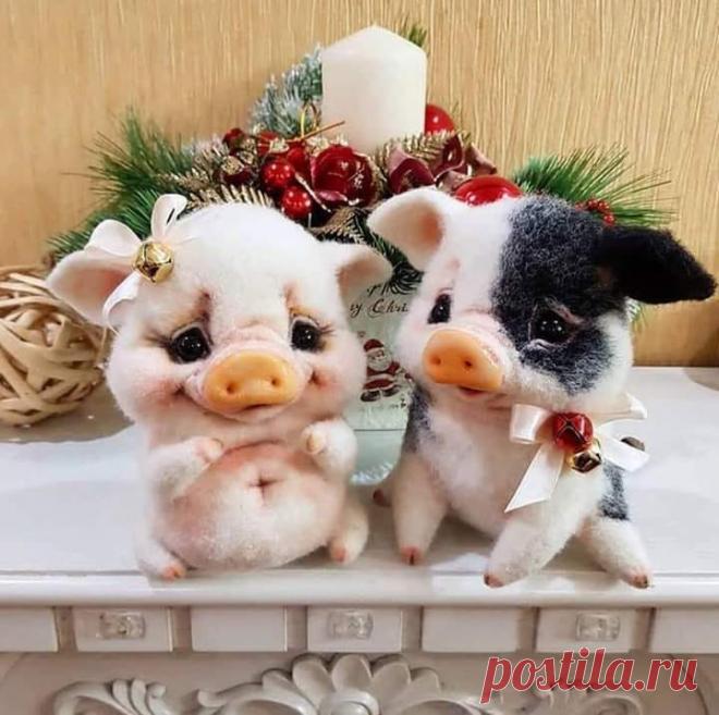 Տարվա գեղեցիկ զույգը․․🐷❤️․
Շնորհավոր Հին Նոր տարի ...❤️🎄🍷
Թող Նոր Տարվա մեջ մենք ունենանք այն, ինչ չի կարելի գնել։ Սեր, Առողջություն, Երջանկություն և Ընկերներ! 
Թող Ձեր երջանկությունը լինի իրական, տունը- տաք, իսկ սերը - փոխադարձ! 🎅🎄💕⛄🎉